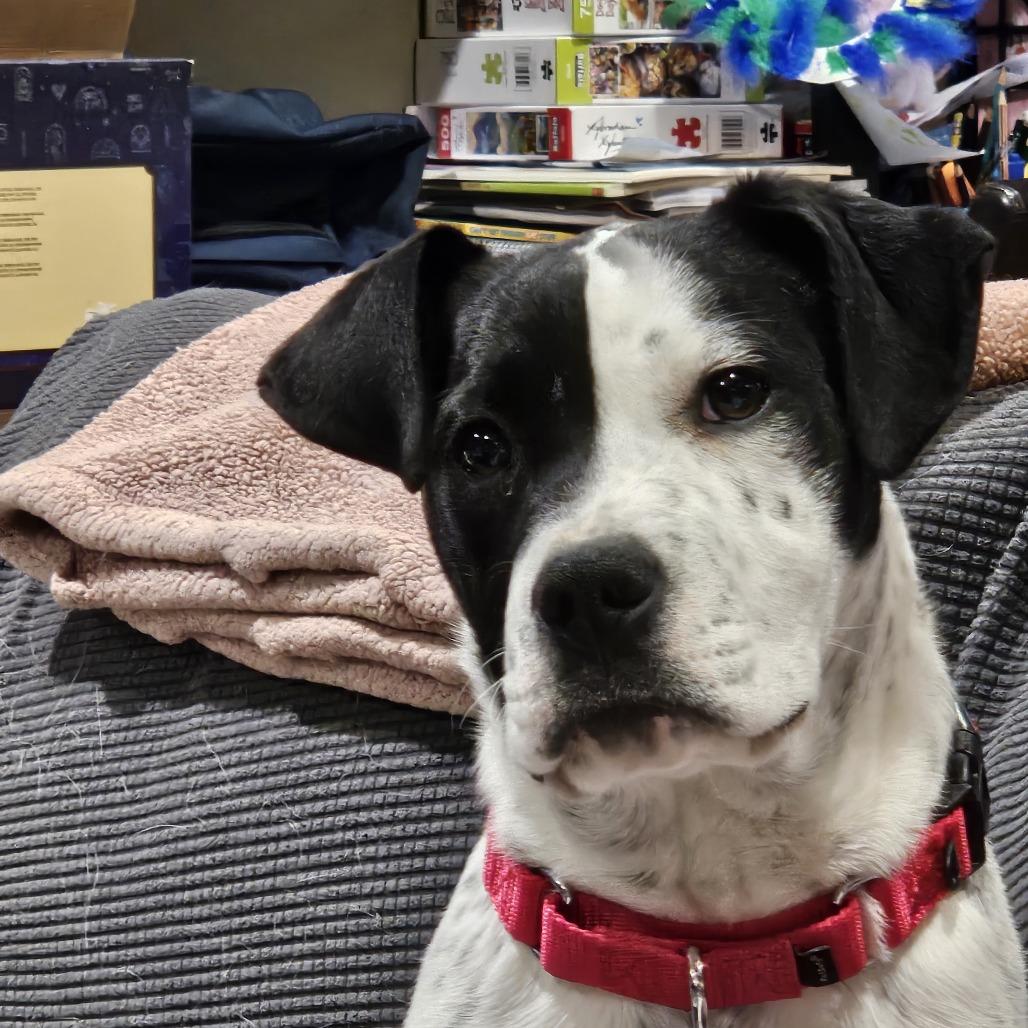 Sprinkles thumbnail 2