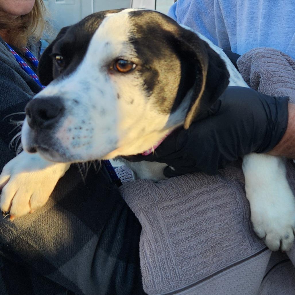 Sprinkles thumbnail 3