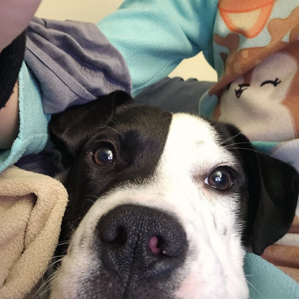 Sprinkles thumbnail 5