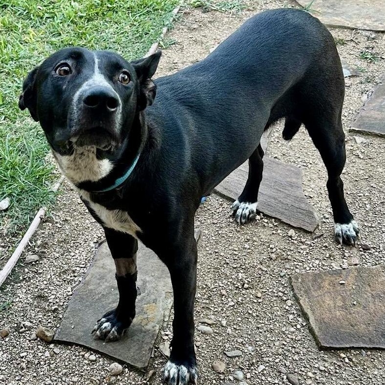 Miley — thumbnail 2