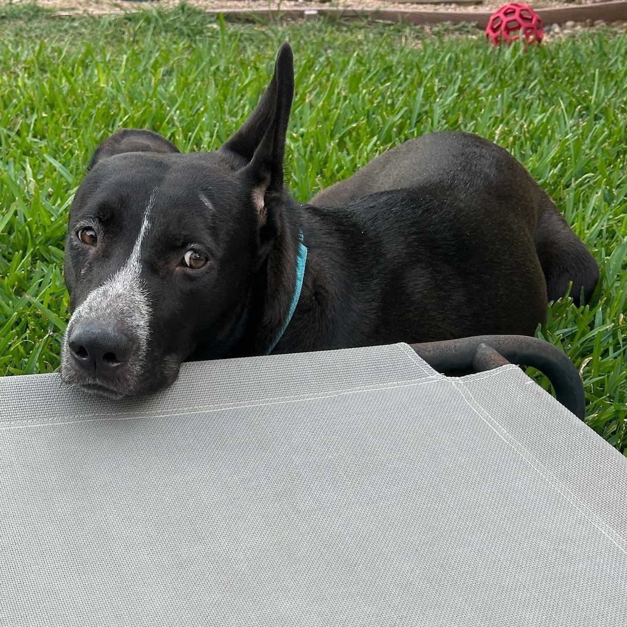 Miley — thumbnail 6