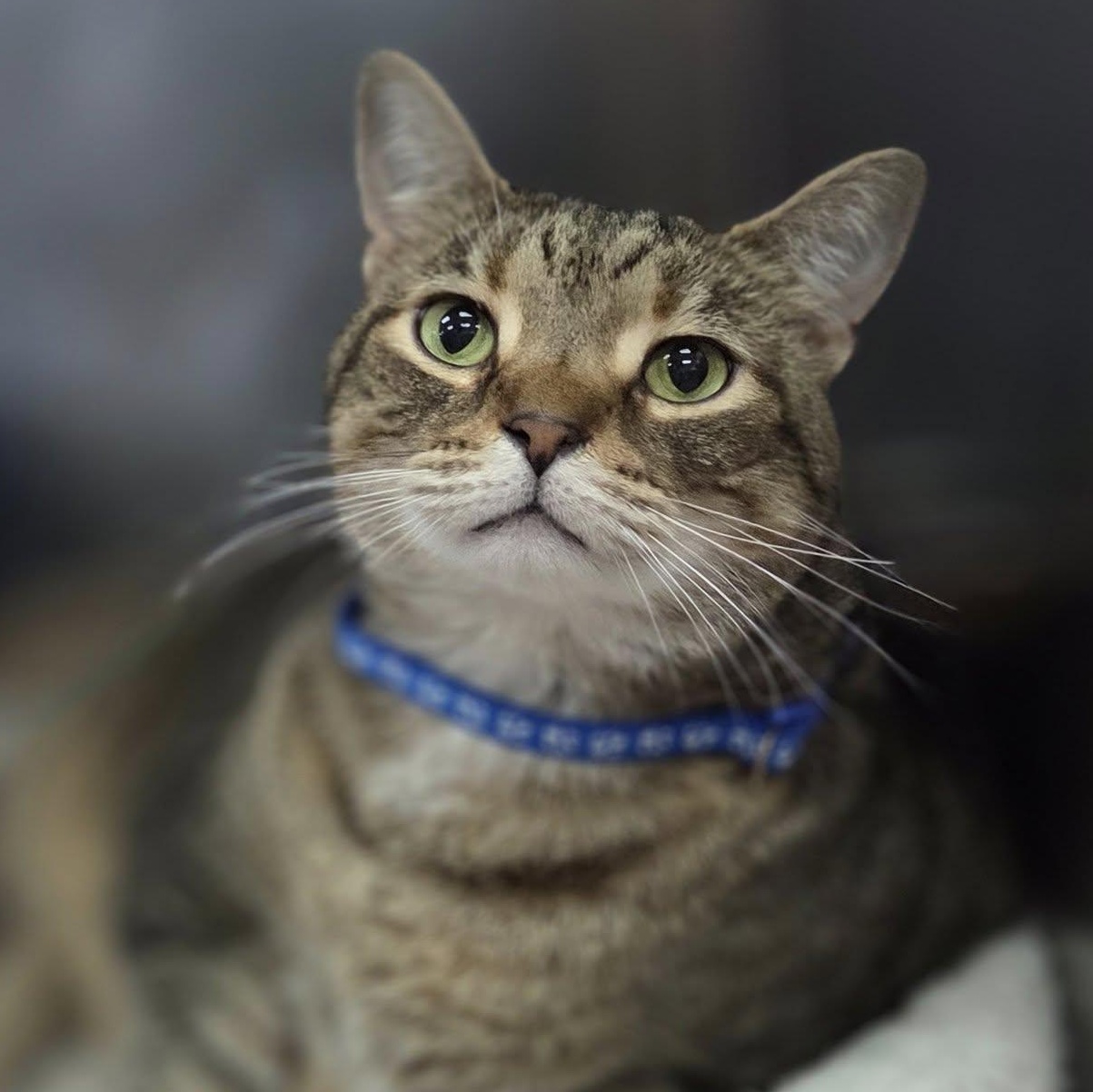 Happy, Senior Male unknown