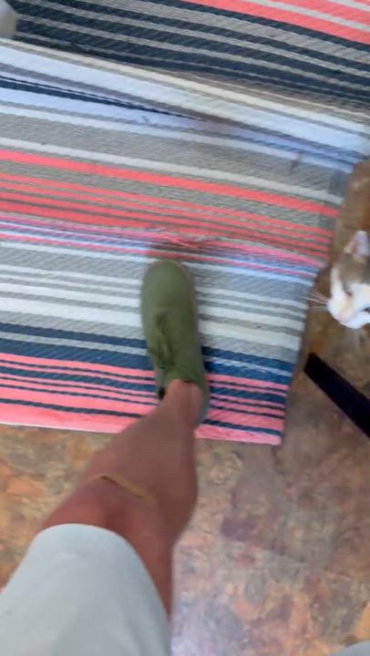 Enlarge Violetta, a Adoptable mixed breed in Miami Beach, FL video 5/5