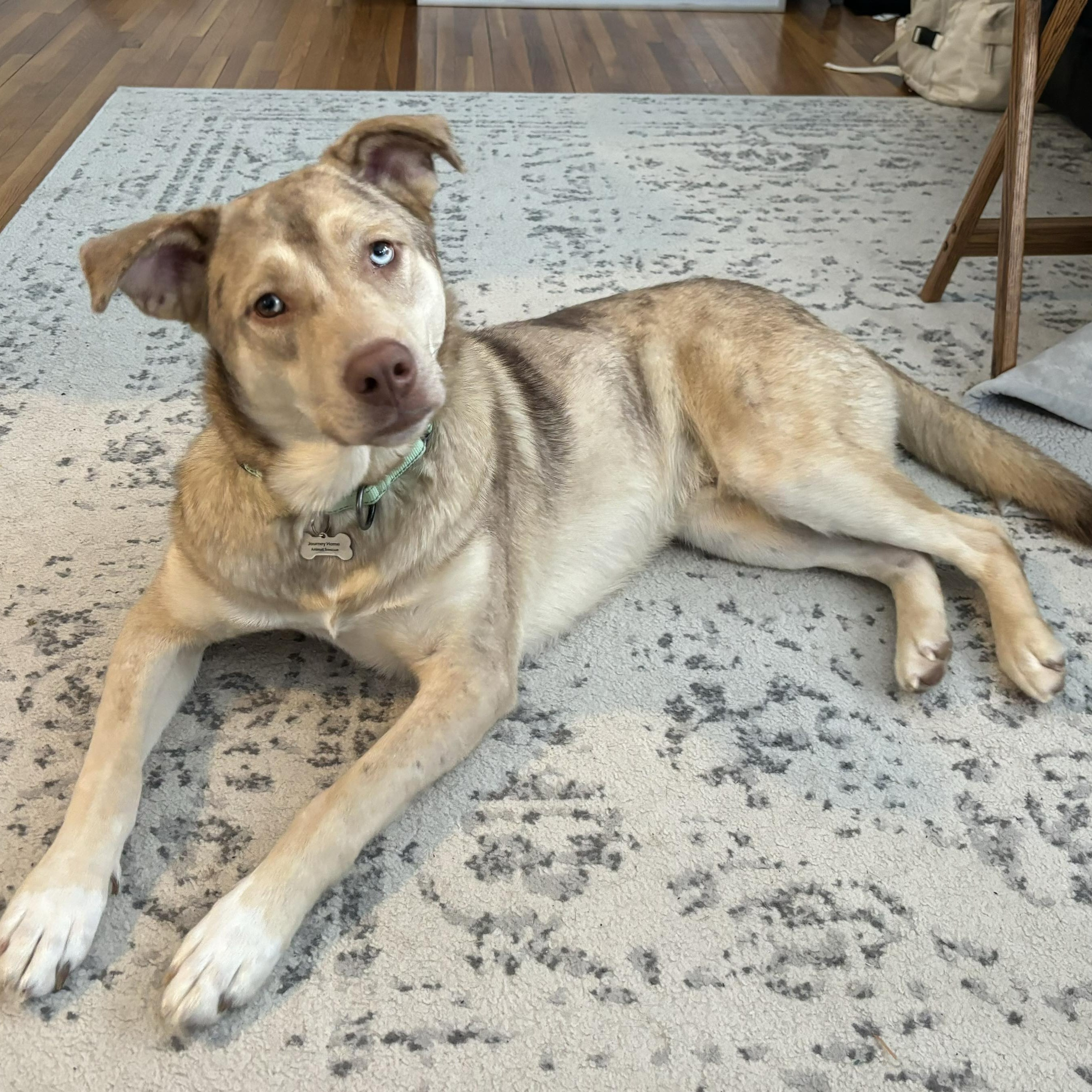 Klondike