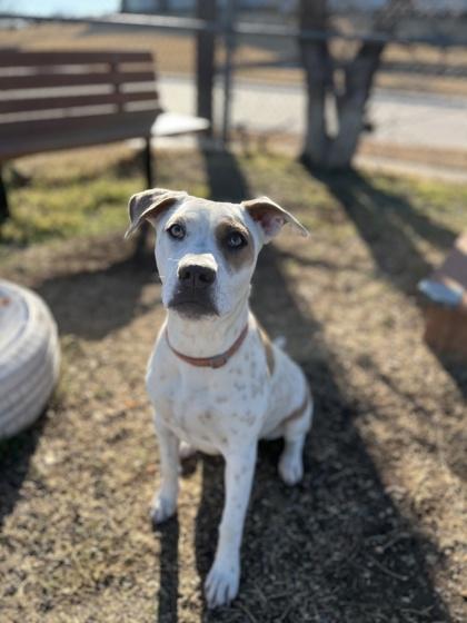 Arizona — thumbnail 2