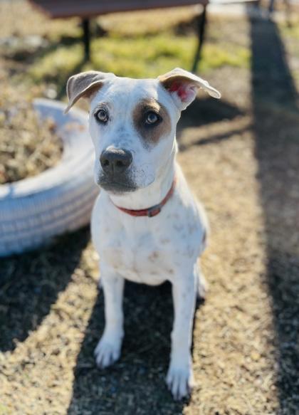 Arizona — thumbnail 3