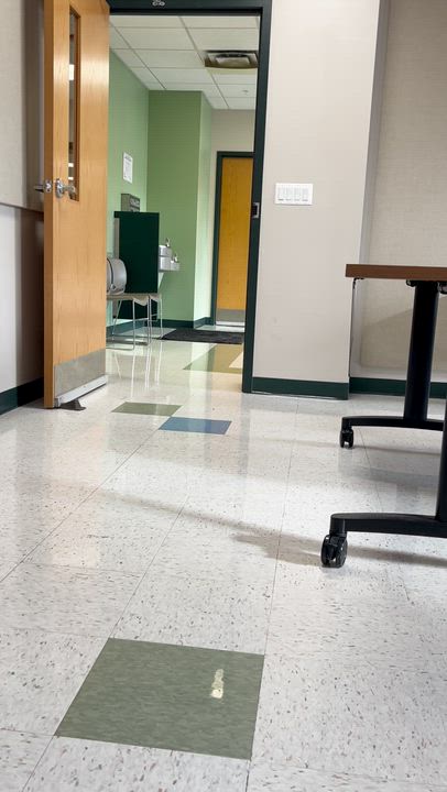 Enlarge Marzipan, a ADOPTABLE Pit Bull Terrier in Peotone, IL video 5/5