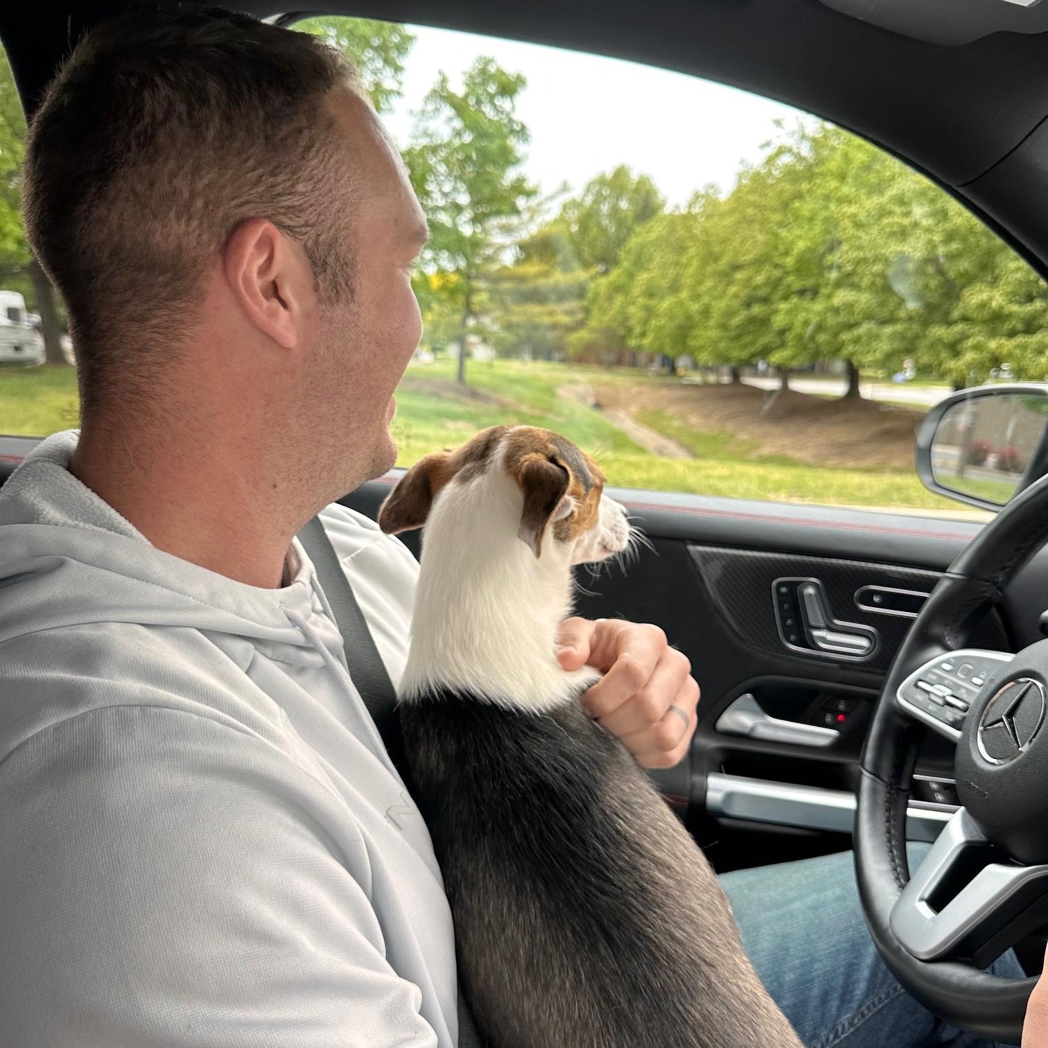 Francis , an adopted mixed breed in St Marys, OH image 6/6