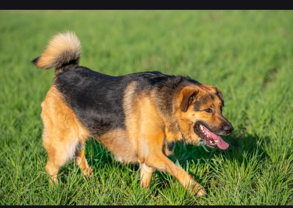 Max