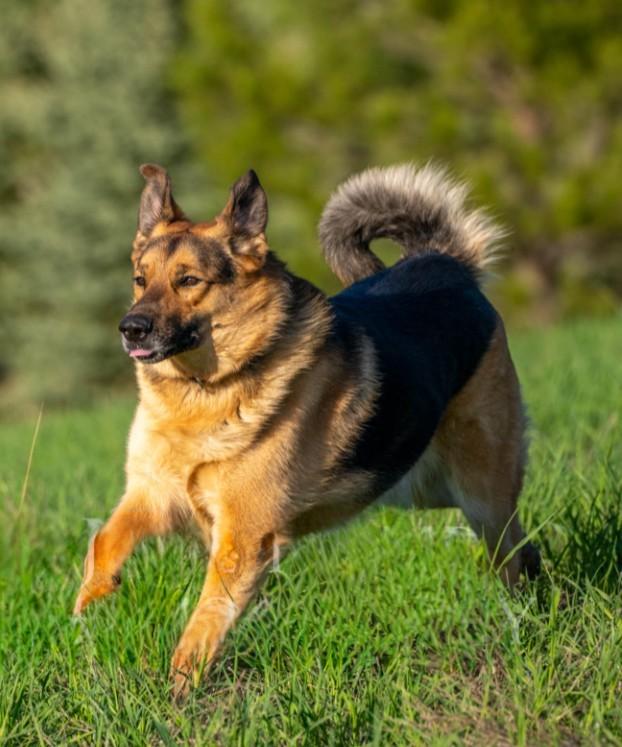 Max