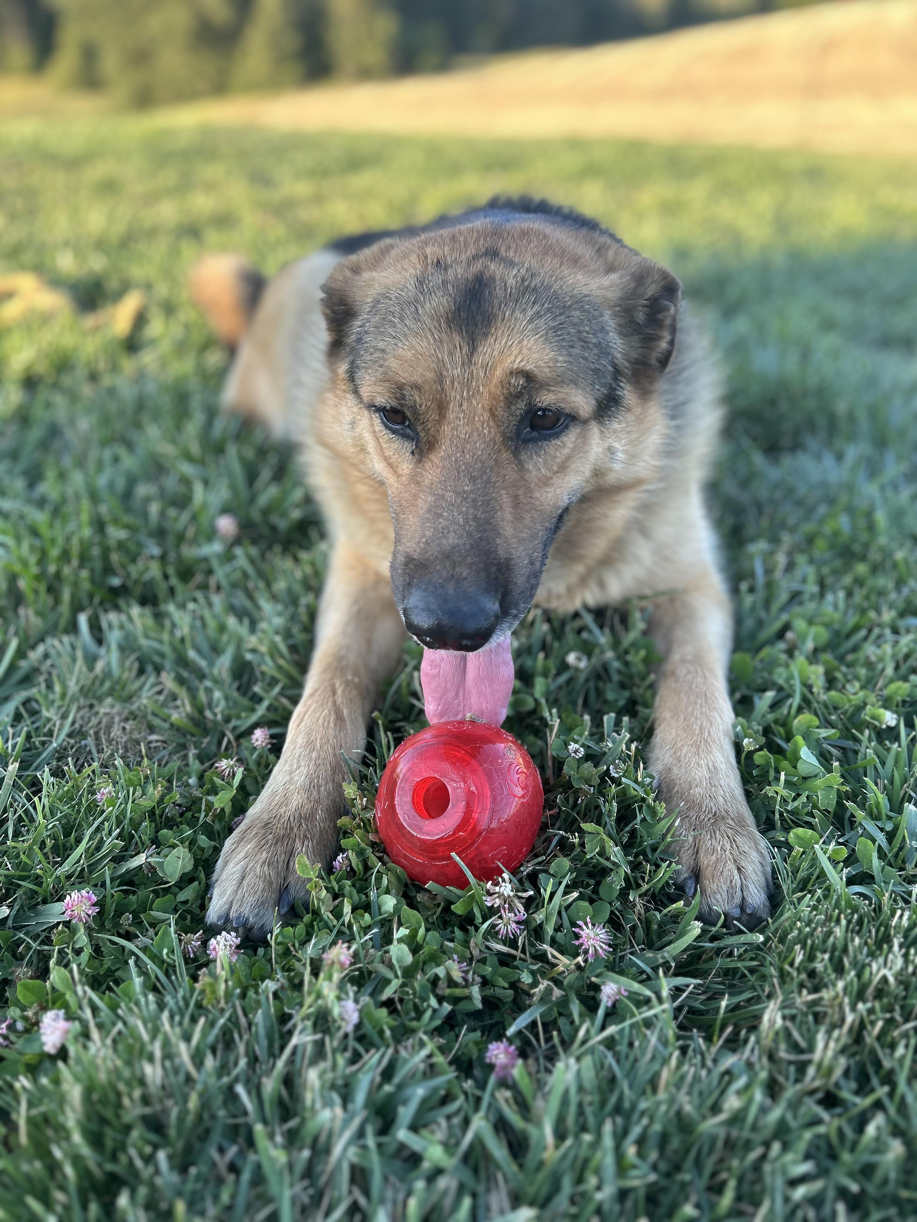 Max