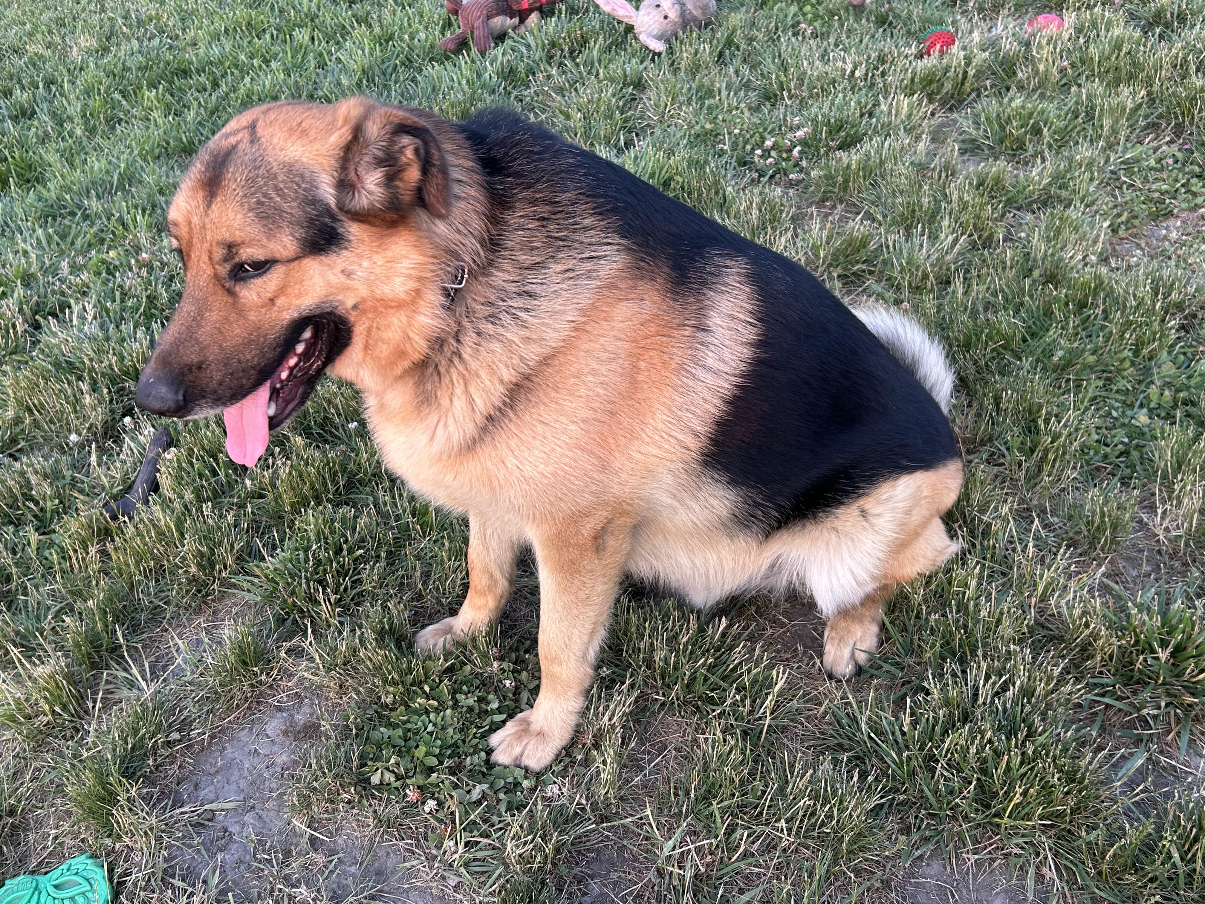 Max