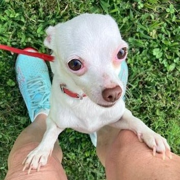 Abbey POOR GIRL OWNER TO ASSISTED LIVING photo 2