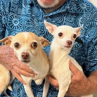 Abbey POOR GIRL OWNER TO ASSISTED LIVING photo 3