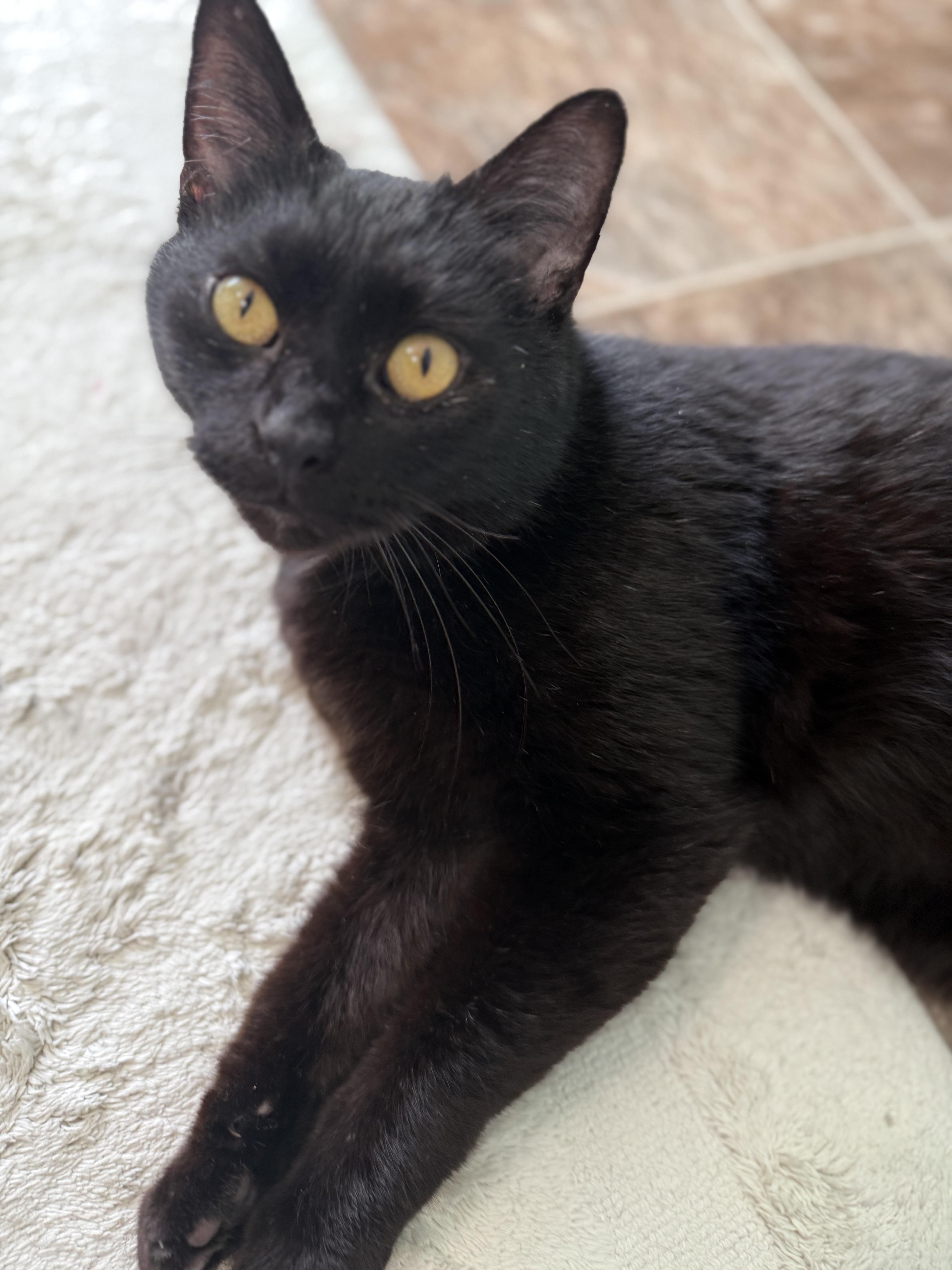 Porch — thumbnail 3