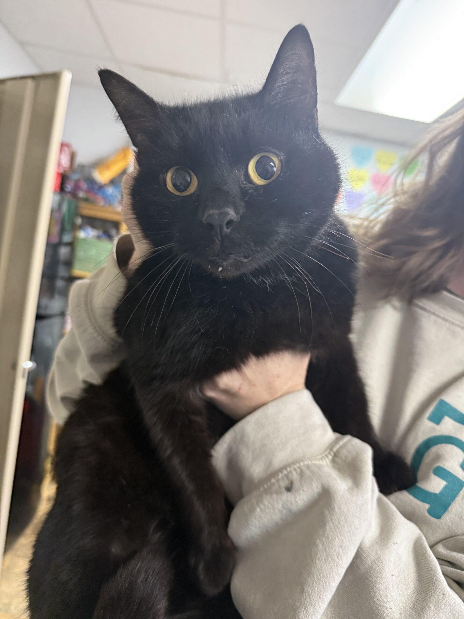 Porch — thumbnail 4