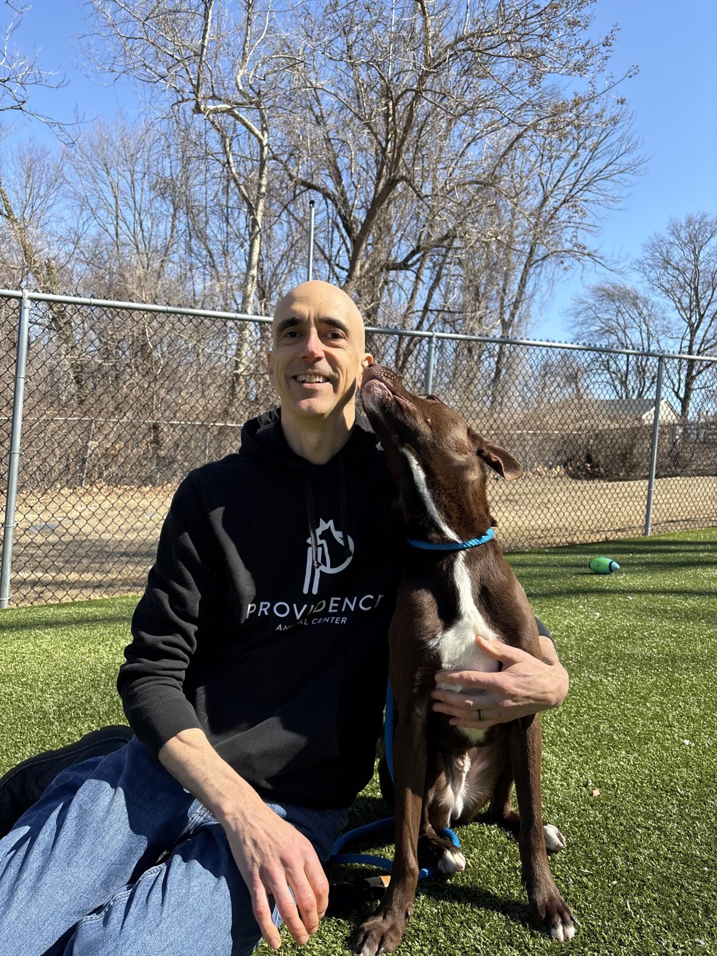 Enlarge Mako, a Adoptable Mixed Breed in Media, PA image 2/2