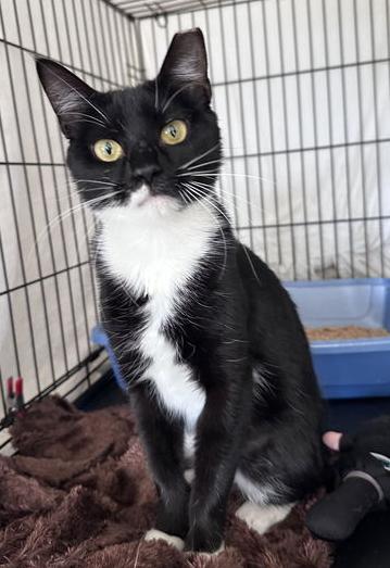 Jewel  Willow Grove thumbnail 4