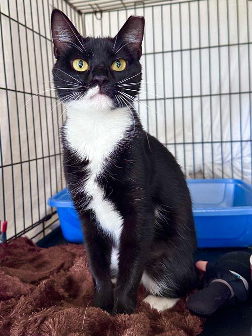 Jewel  Willow Grove thumbnail 2