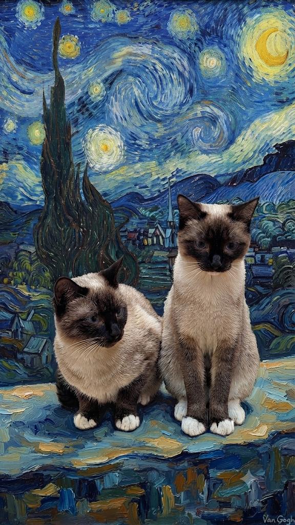 LIORA, Adoptable, Young Female Siamese.
