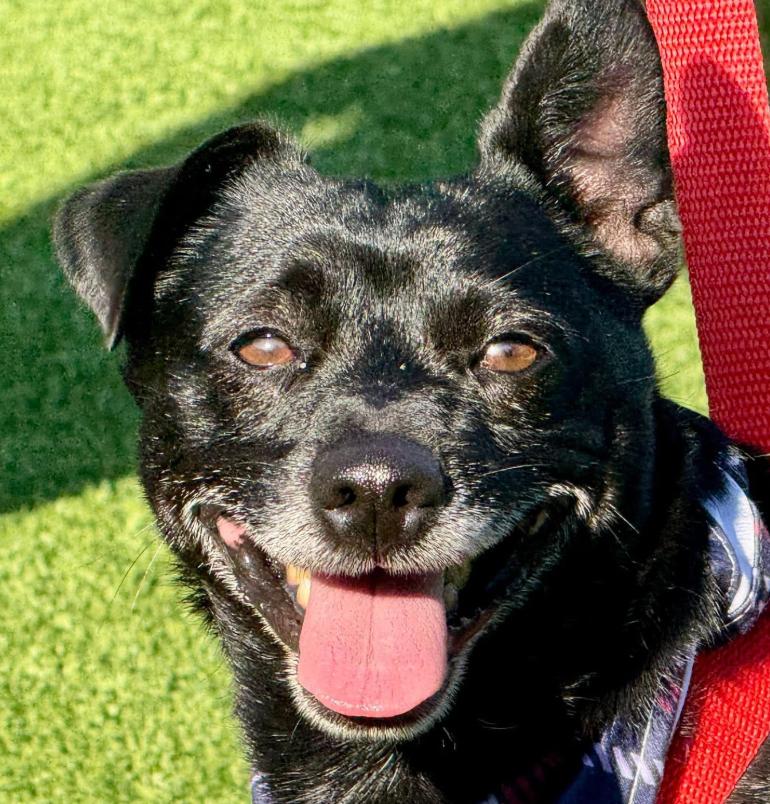 Mack's here: Life of the Paw-ty!