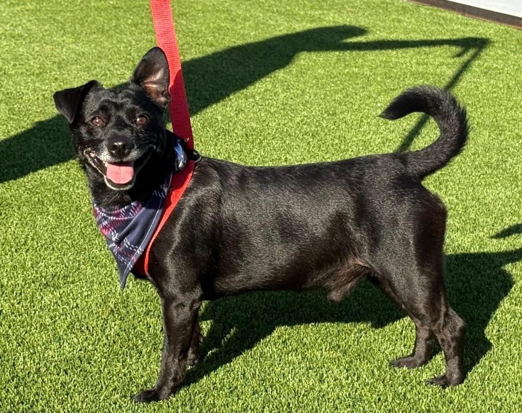 Mack's here: Life of the Paw-ty!