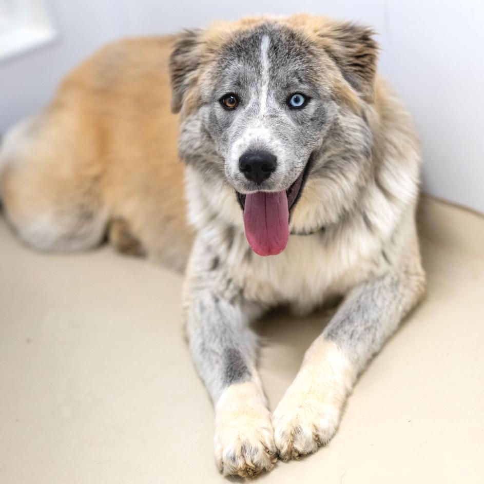 Bessie Coleman thumbnail 2