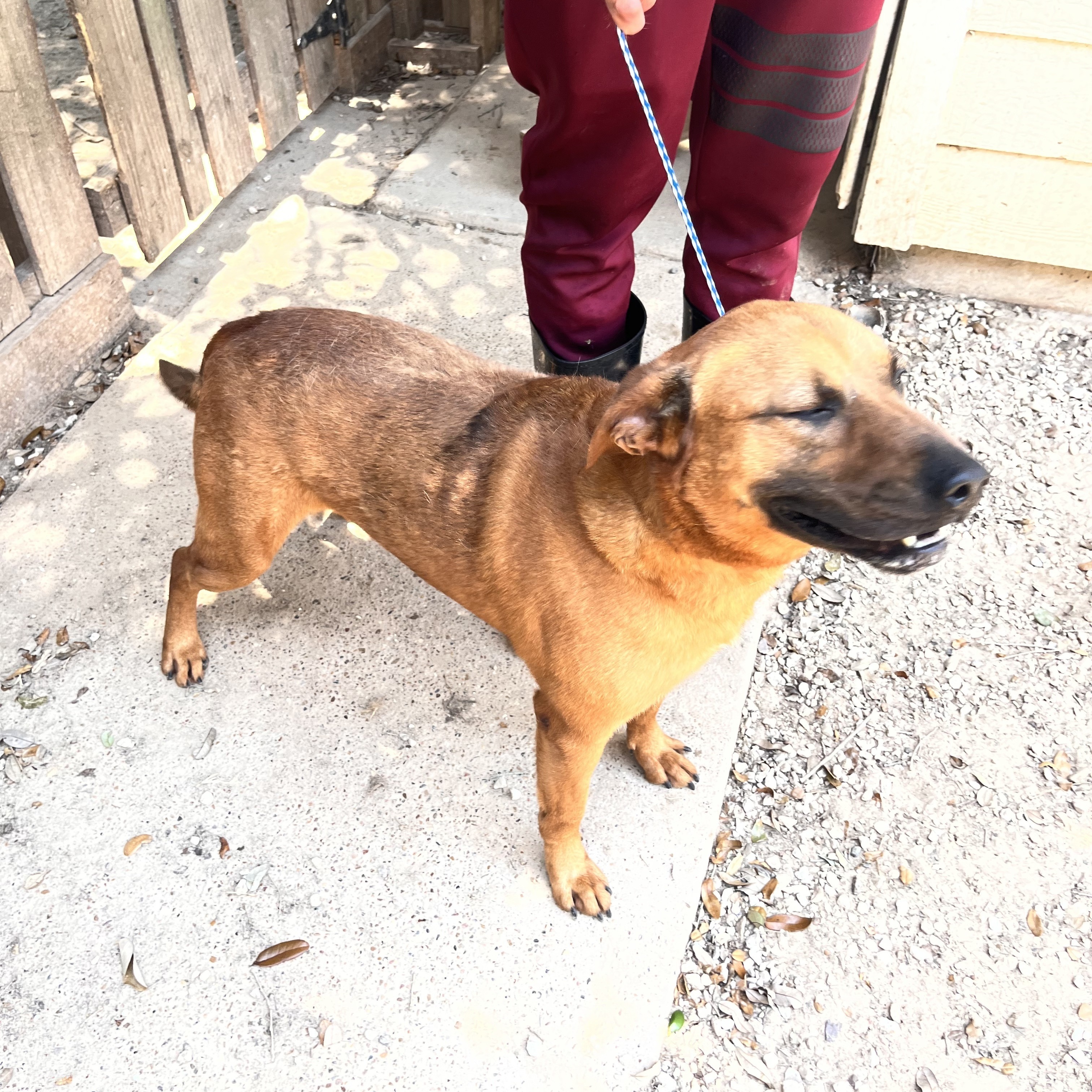 Hannigan — thumbnail 4