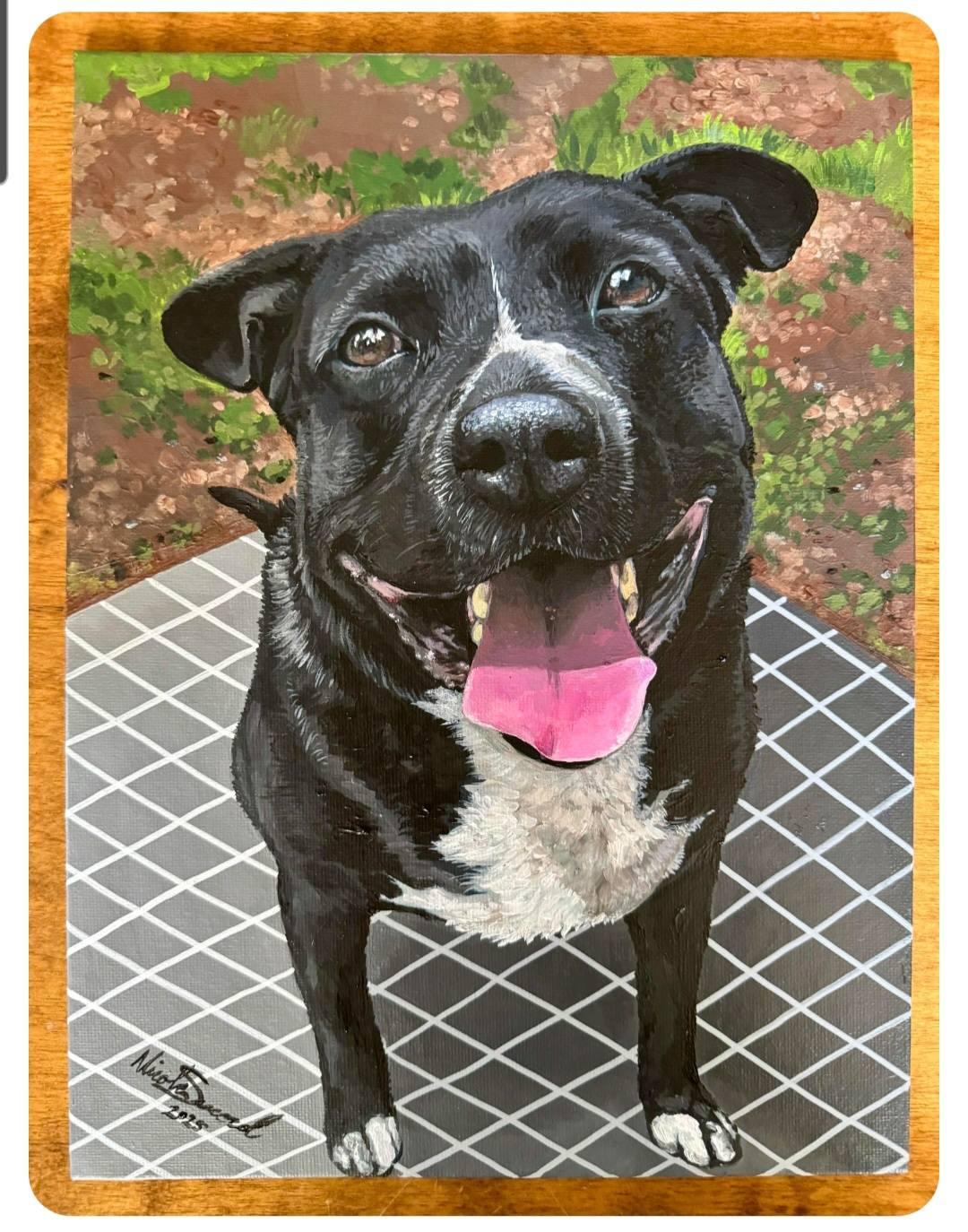 Enlarge Diego, a Adoptable mixed breed in Hummelstown, PA image 3/6