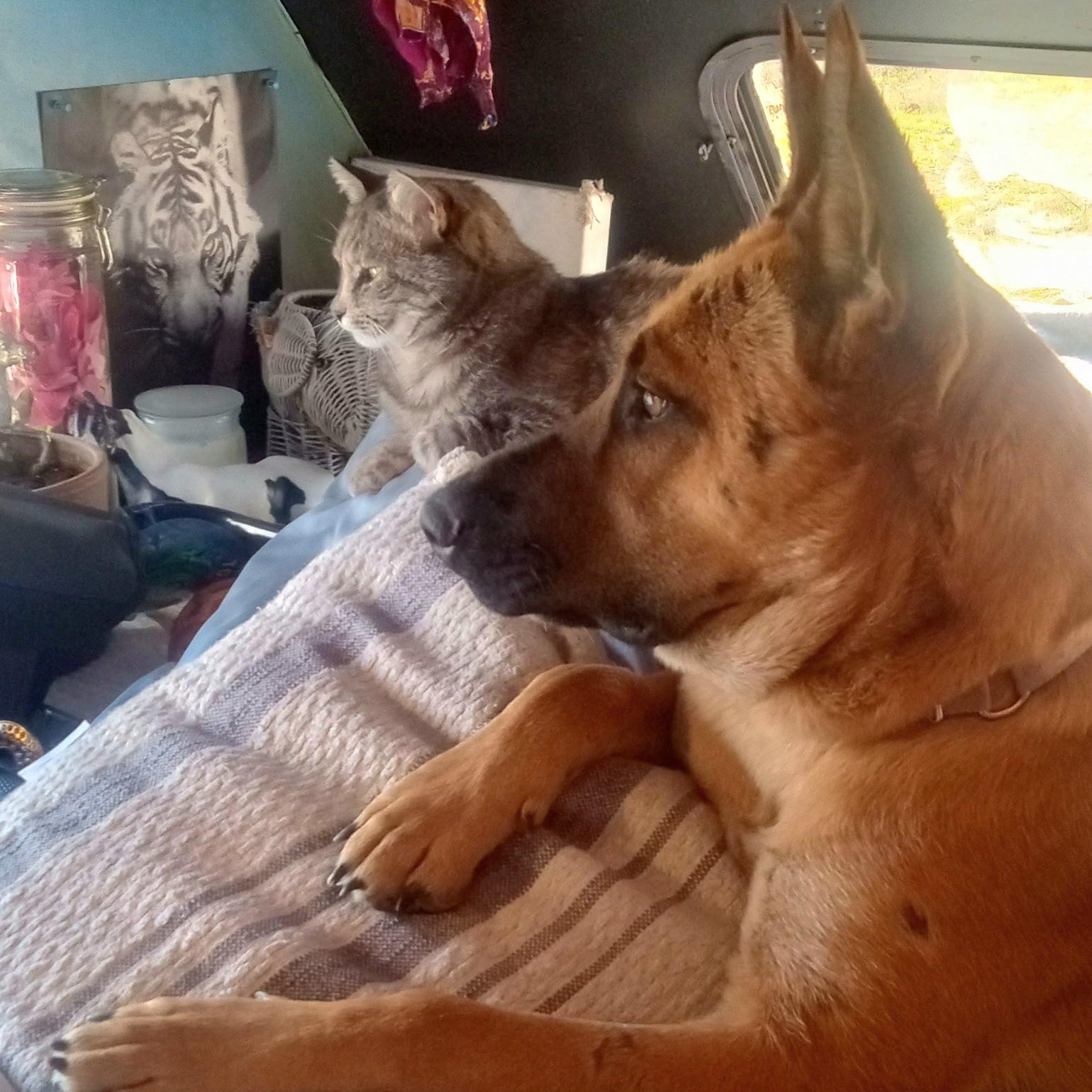 NEPTUNE *URGENT IN CALIFORNIA*