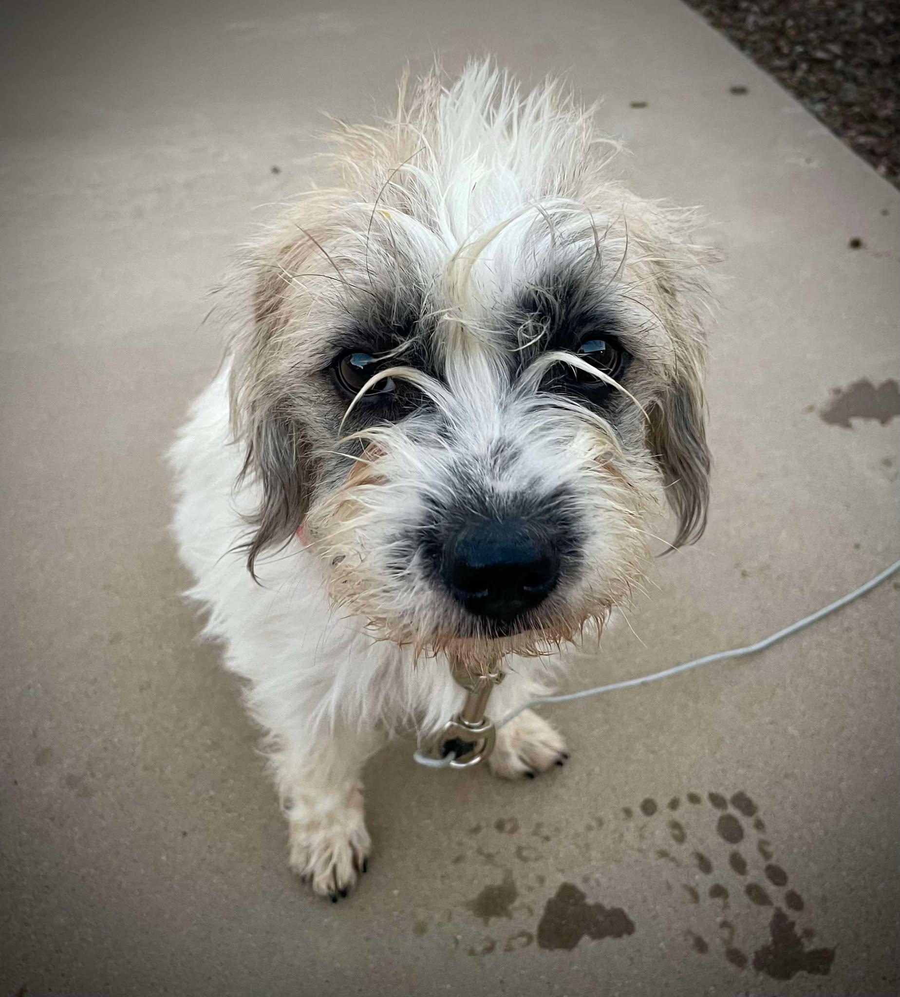 College Kids - Carnegie