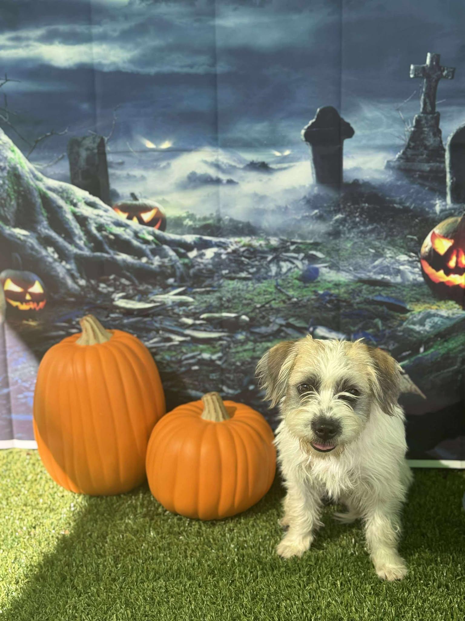 College Kids - Carnegie