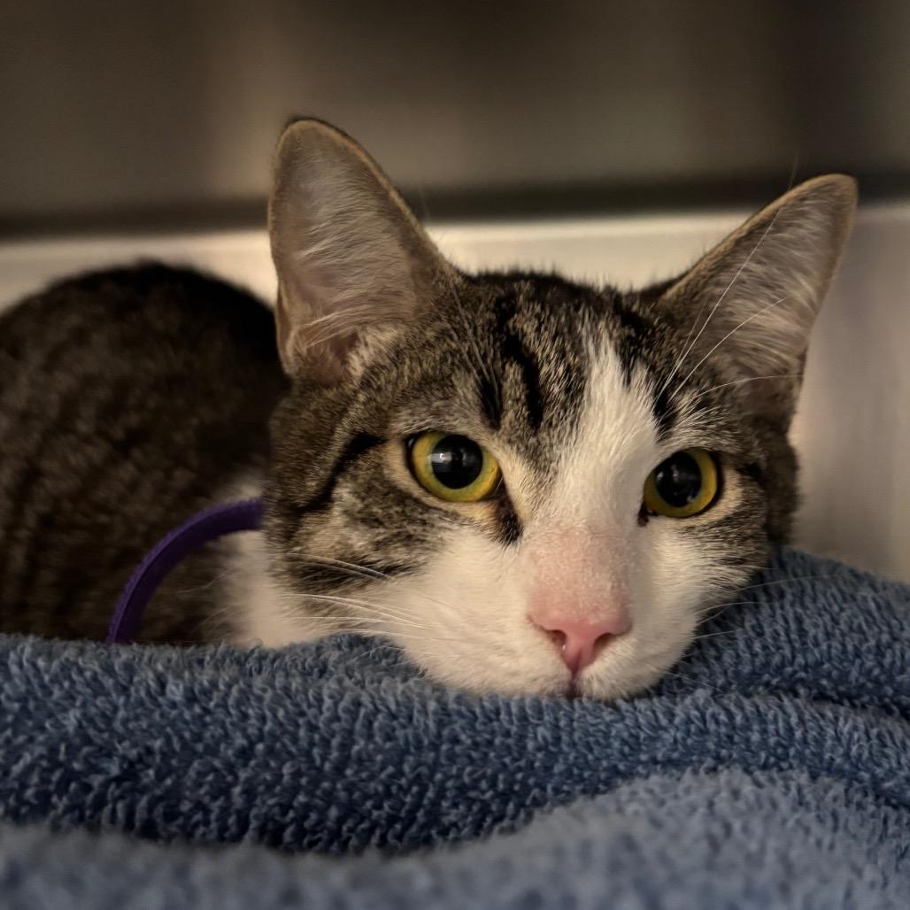 Noel-See my Video! — thumbnail 2