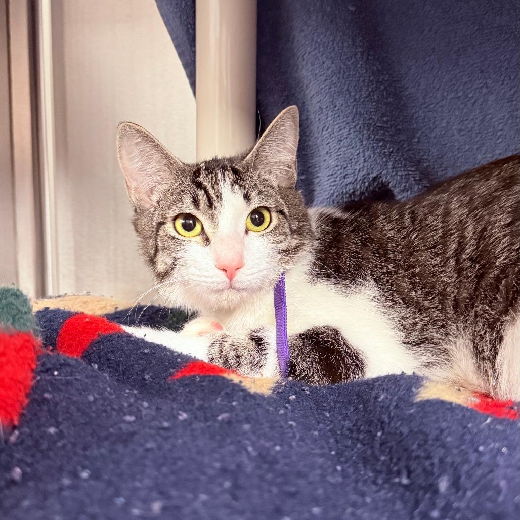 Noel-See my Video! — thumbnail 3