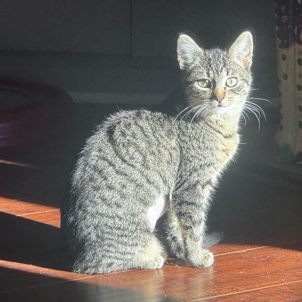 Delta — thumbnail 3