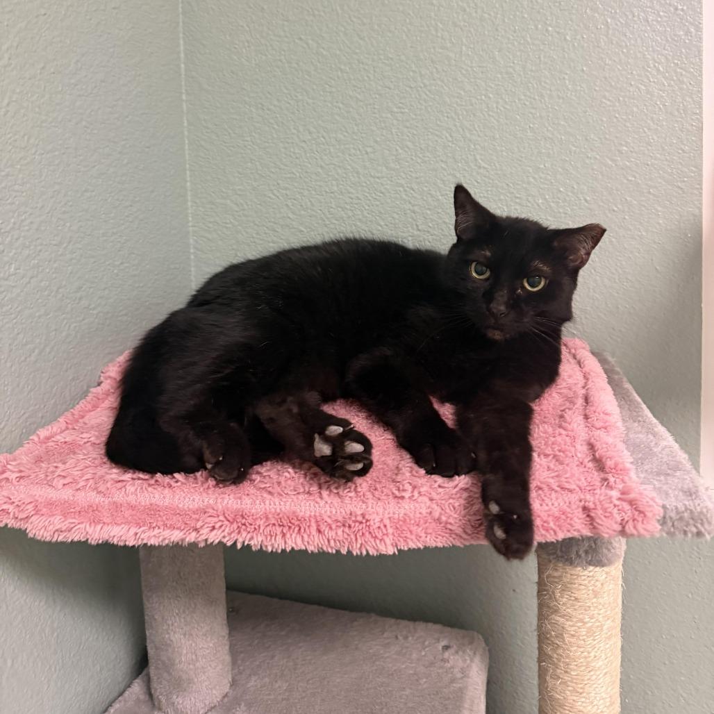 Tiny — thumbnail 3