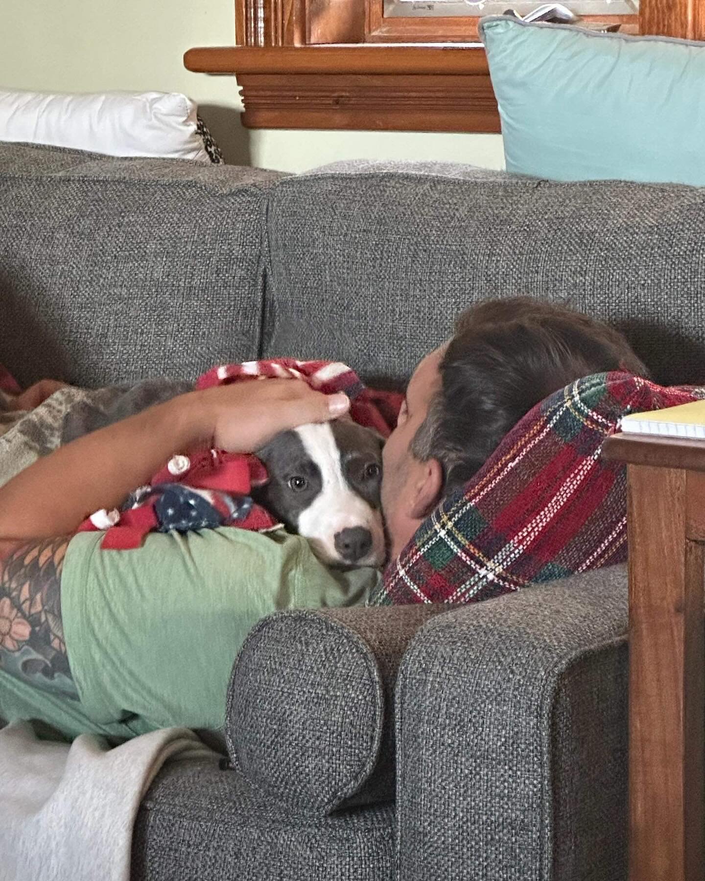 Dog for adoption Ziggy, a Mixed Breed in St. Albans, VT Petfinder