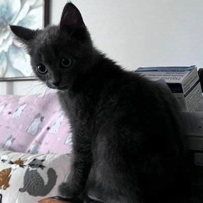 Sammie