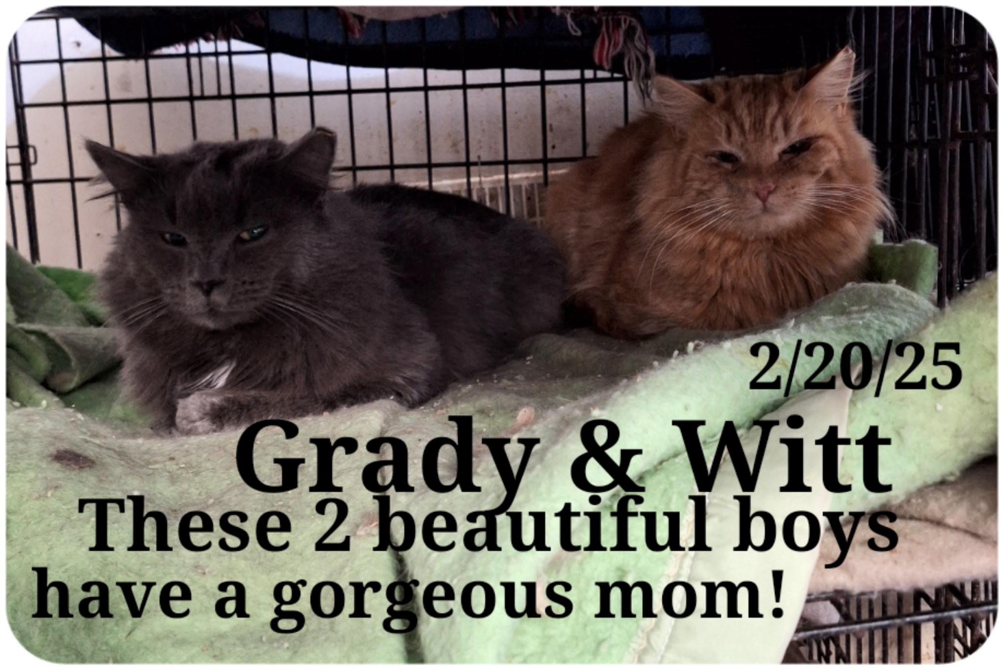 Grady   And thumbnail 3