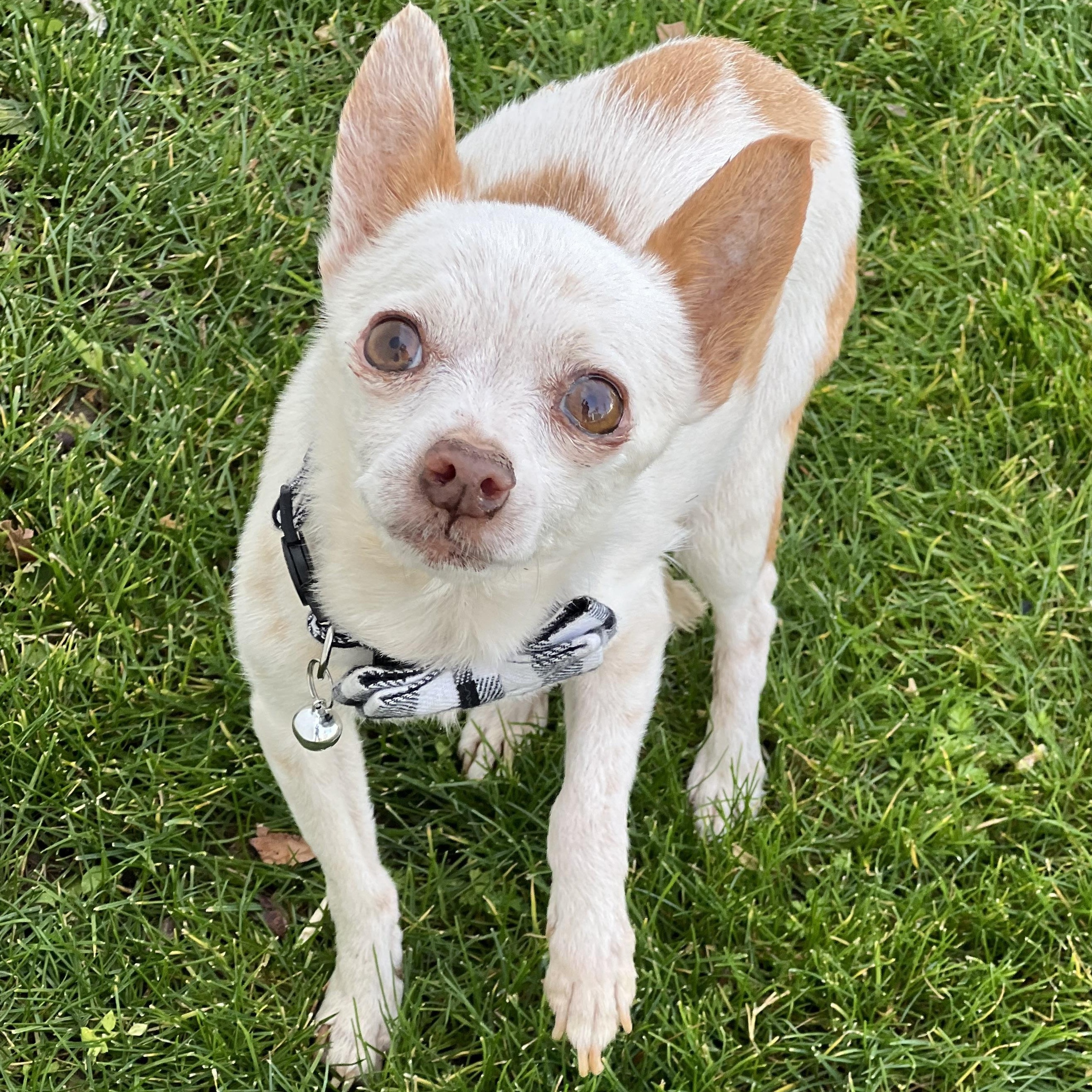 Mighty Moe, Senior Male unknown