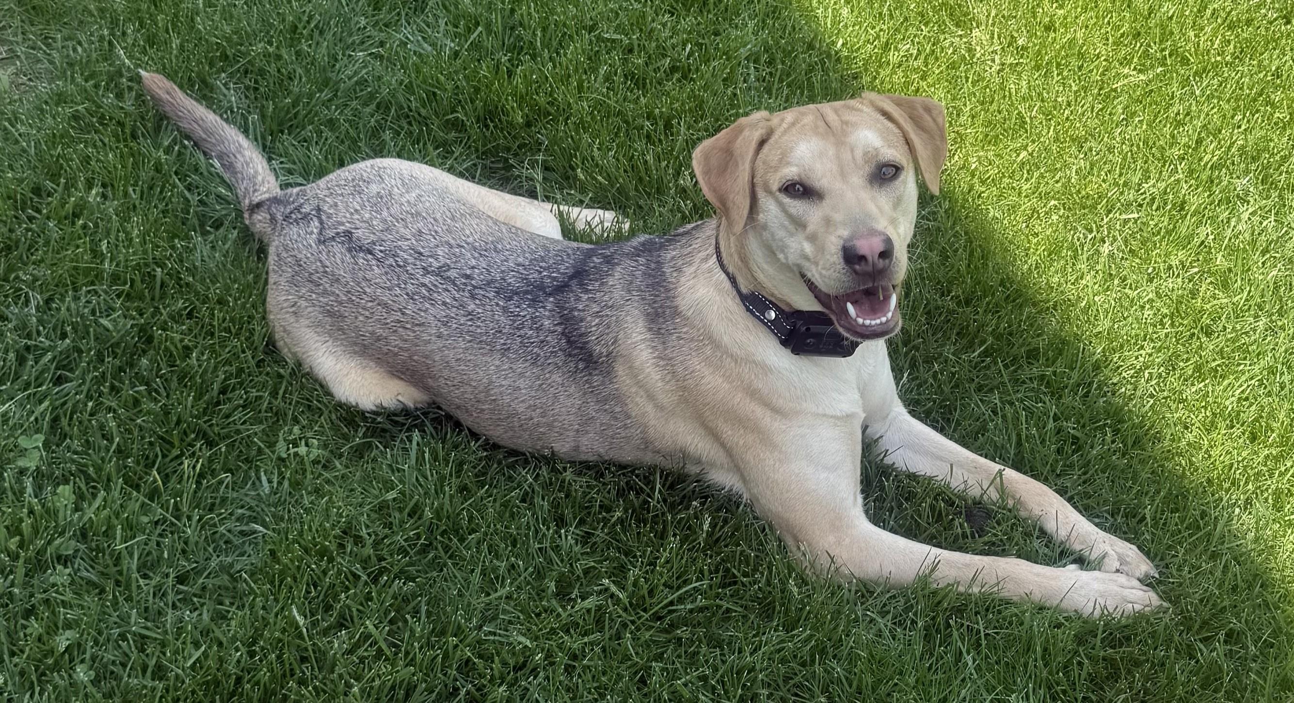 Zoey, Young Female unknown