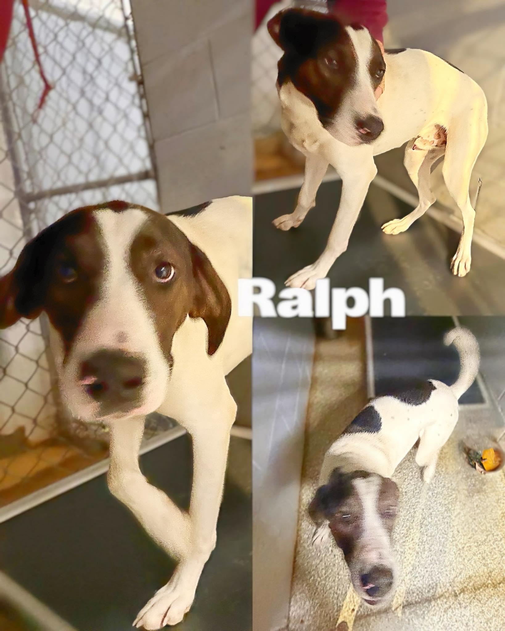Ralph thumbnail 2