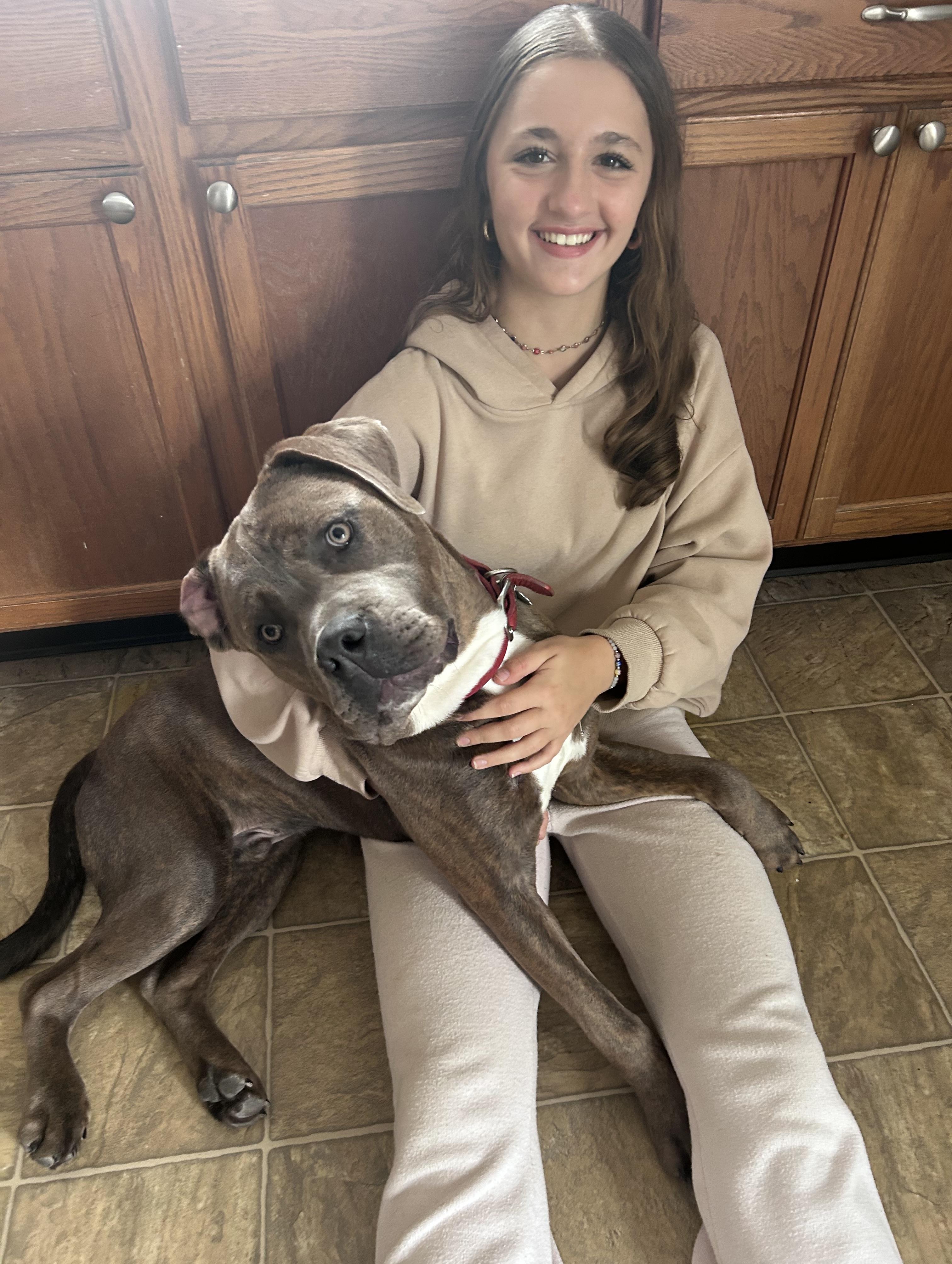 Enlarge Parker, a Adoptable mixed breed in Oxford, MI image 5/6