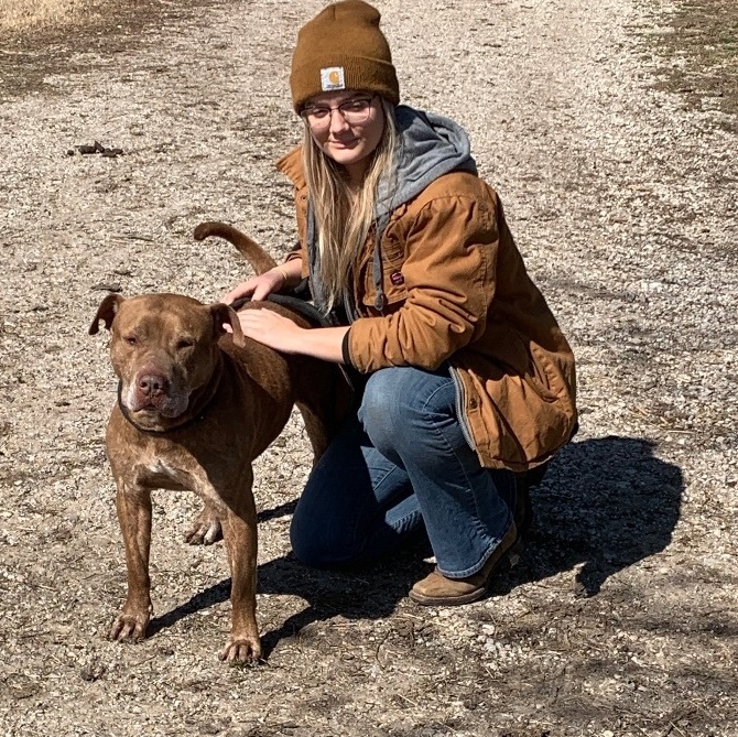 Enlarge Eddy , a Adoptable mixed breed in Anna, TX image 2/12