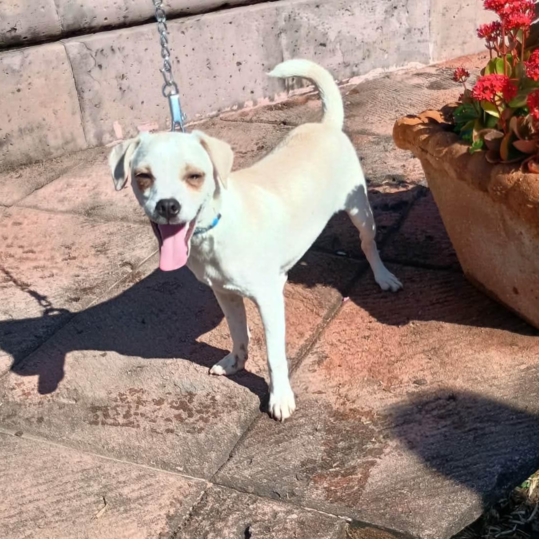 Camilo — thumbnail 3