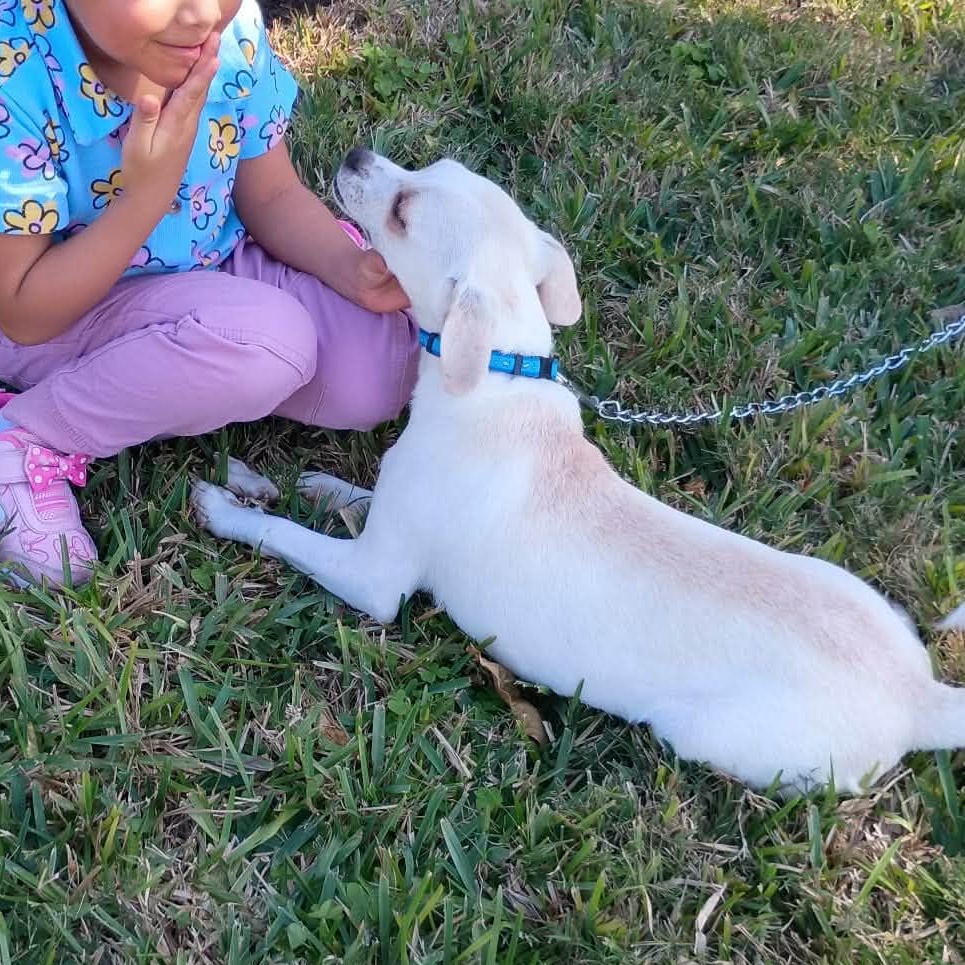 Camilo — thumbnail 4