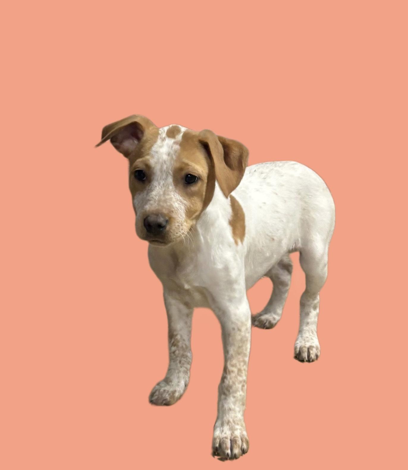 Charlotte thumbnail 2