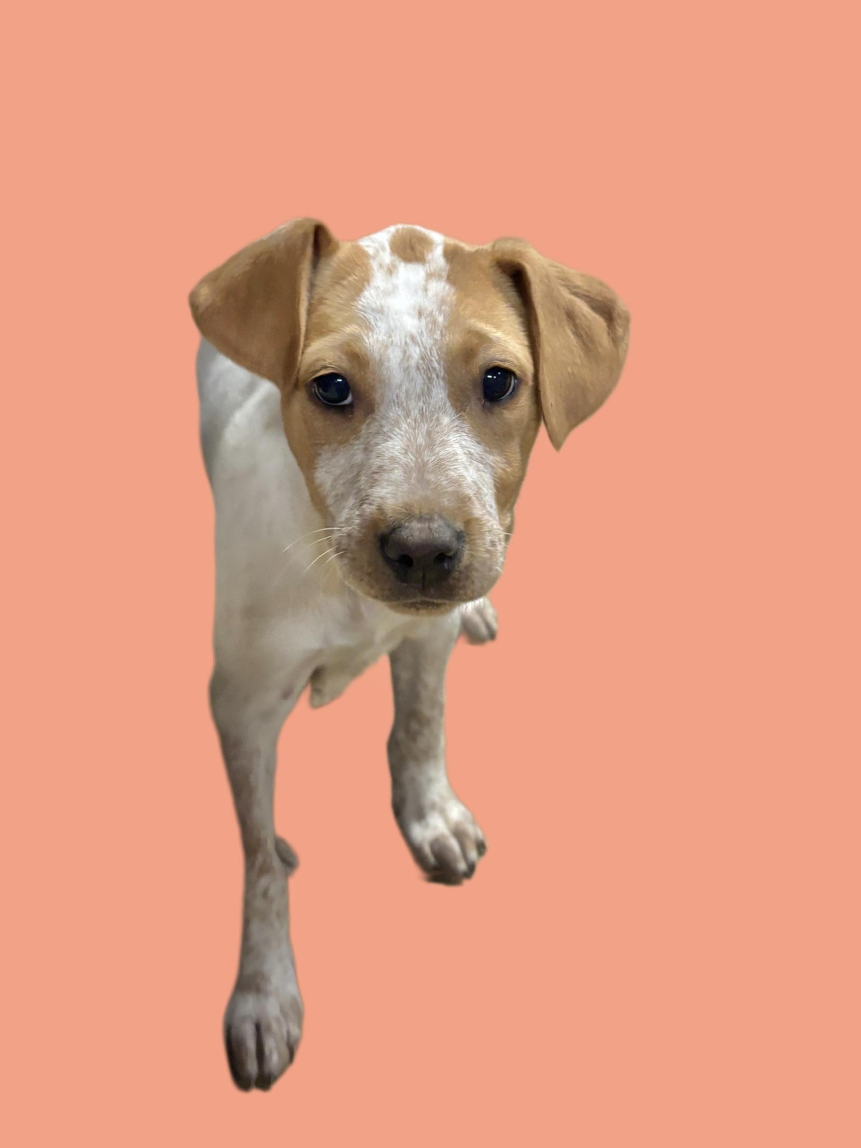 Charlotte thumbnail 3