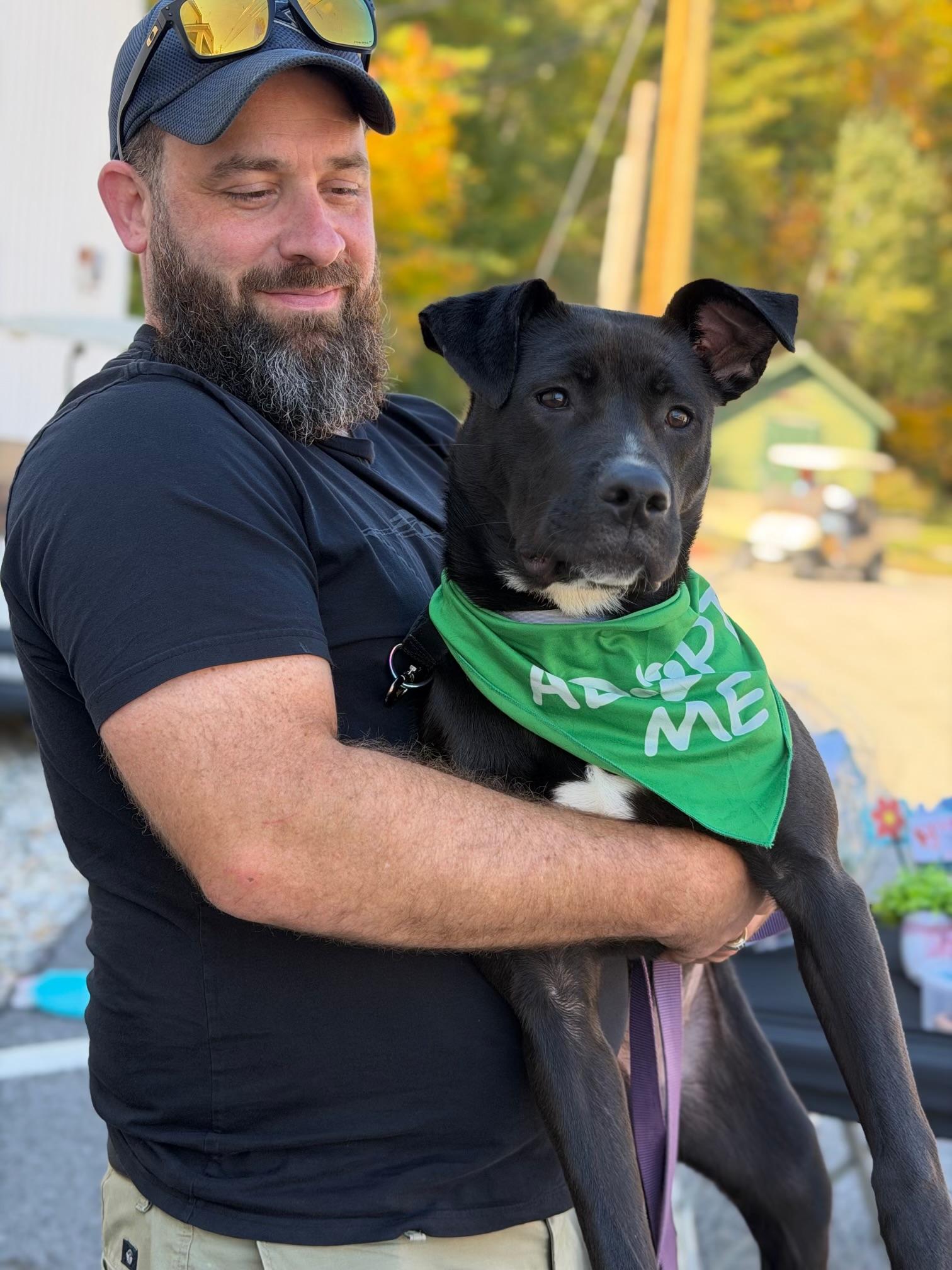 Enlarge AUGGIE, a Adoptable mixed breed in Kennebunk , ME image 4/6