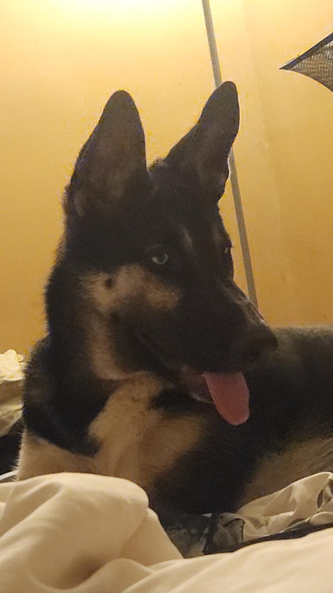 Jager